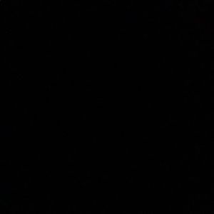 Meet your Posher, Xavier